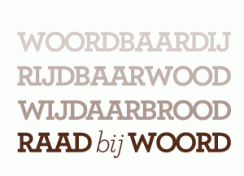 raadbijwoord_beeld